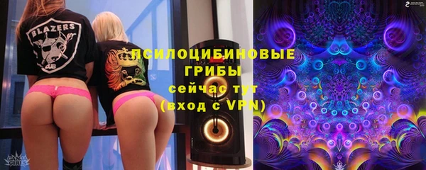 кокс Баксан