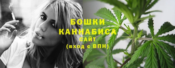 ПСИЛОЦИБИНОВЫЕ ГРИБЫ Балахна
