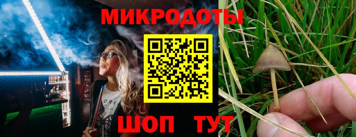 Серов  Псилоцибиновые грибы мицелий  Вход с VPN 